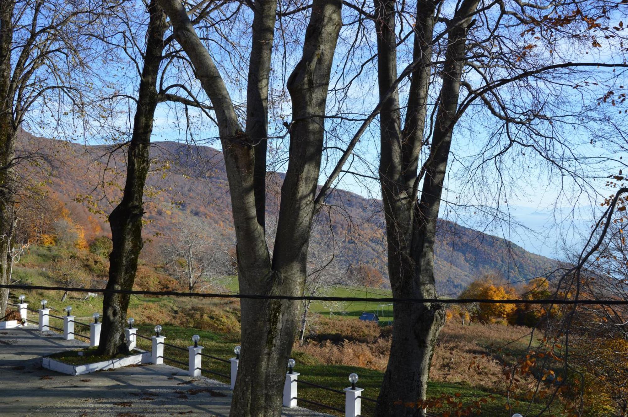 Hotel Hani Zisi Khaniá Rom bilde